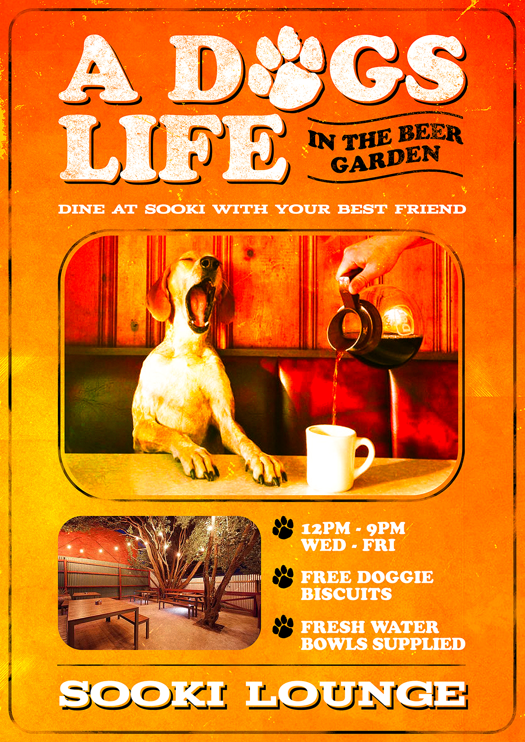 doggy-cafe-belgrave-sooki-lounge